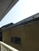 詳細写真5