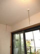 詳細写真5