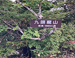野口さんの山行報告 第84号